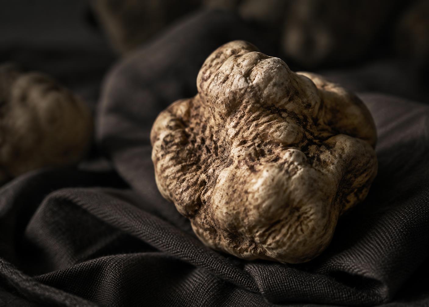 Tartufo fresco